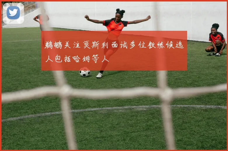 鹈鹕关注莫斯利面试多位教练候选人包括哈姆等人
